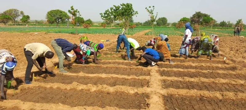 𝐏𝐫𝐨𝐝𝐮𝐜𝐭𝐢𝐨𝐧 𝐝'𝐨𝐢𝐠𝐧𝐨𝐧 𝐞𝐧 𝐬𝐚𝐢𝐬𝐨𝐧 𝐩𝐮𝐥𝐯𝐢𝐞𝐮𝐬𝐞:𝐝𝐞𝐬 𝐫&eacute;𝐬𝐮𝐥𝐭𝐚𝐭𝐬 𝐩𝐫𝐨𝐦𝐞𝐭𝐭𝐞𝐮𝐬𝐞𝐬 &agrave; 𝐋𝐚𝐝𝐰𝐞𝐧𝐝𝐚!