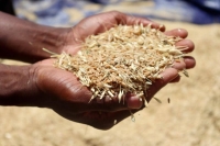 𝐒&eacute;𝐜𝐮𝐫𝐢𝐭&eacute; 𝐚𝐥𝐢𝐦𝐞𝐧𝐭𝐚𝐢𝐫𝐞 : 𝐥𝐚 𝐂𝐏𝐅 𝐫&eacute;𝐜𝐨𝐥𝐭𝐞 𝐬𝐨𝐧 𝐛𝐥&eacute; &agrave; 𝐁𝐚𝐠𝐫&eacute; 𝐩𝐨𝐮𝐫 𝐫𝐞𝐧𝐟𝐨𝐫𝐜𝐞𝐫 𝐥𝐚 𝐬𝐨𝐮𝐯𝐞𝐫𝐚𝐢𝐧𝐞𝐭&eacute; 𝐚𝐥𝐢𝐦𝐞𝐧𝐭𝐚𝐢𝐫𝐞